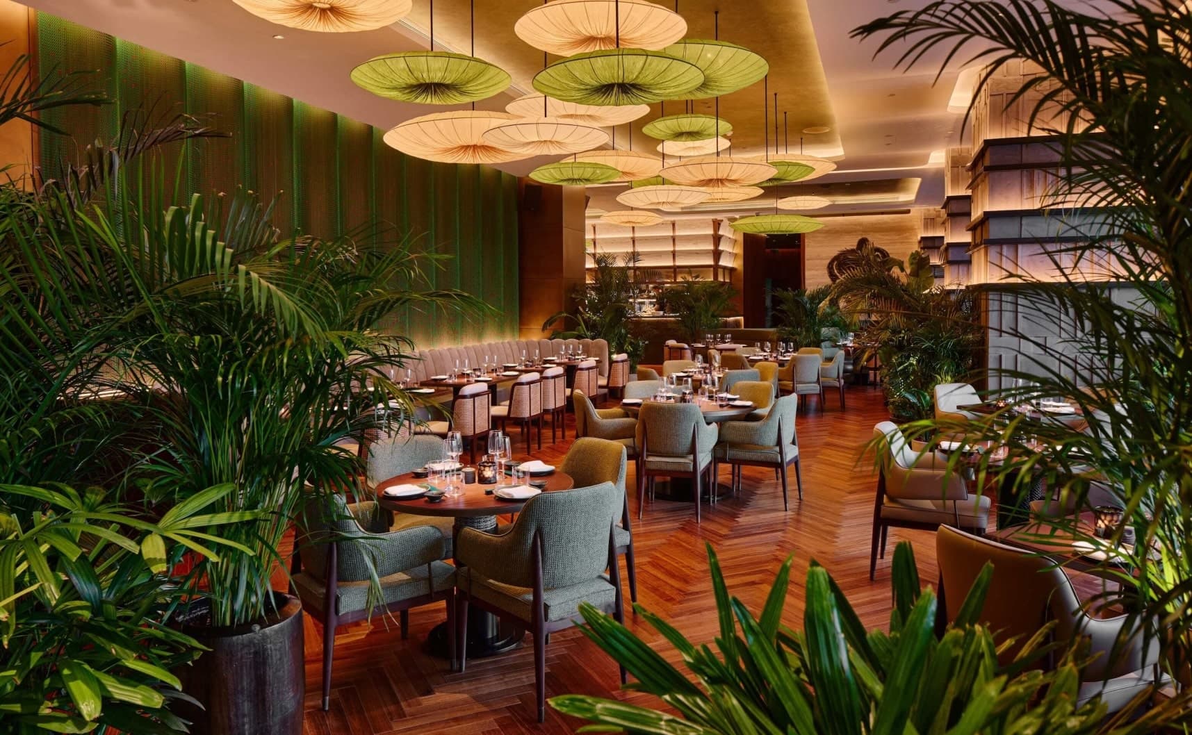 Now open Sumosan-4-min